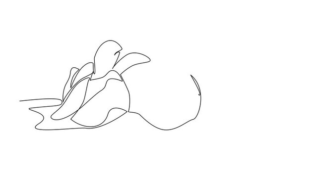 Self drawing animation of single continuous line drawing turtles hatch from eggs and the eggs are intact with a globe like surface. Maintain the ecosystem. World Turtle Day. Full length animated