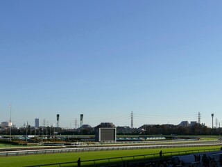 晴天の中山競馬場