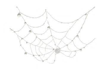 Spider web catching water droplets, sparkling dew, intricate fragile natural animal structure, transparent background