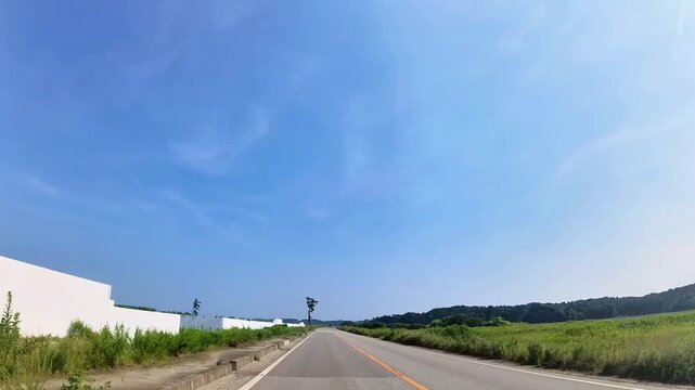 Surviving Lone Tree in Fukushima, Japan &ndash; Symbol of Resilience after the 2011 Tsunami