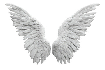 Fototapeta premium Symmetrical, ornate, white feathered wings on black