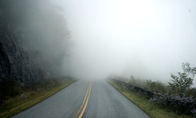 Misty drive through the forest