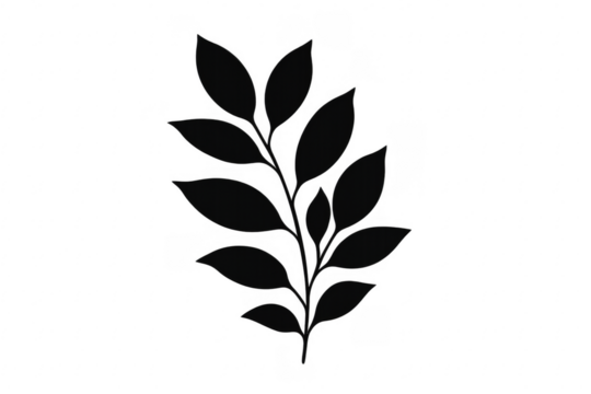 Black botanical branch silhouette with transparent background