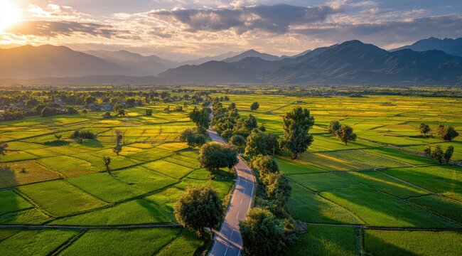Sunset over a valley road. Golden fields, lush green rice paddies, and a winding road leading through the landscape. Mountain range in the background. Aerial view