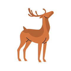 Reindeer, wild forest animal. Deer with antlers, horns. Christmas north fawn, American fauna, wildlife. Graceful stag standing, looking up. Flat vector illustration isolated on white background