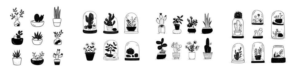 Hand drawn potted plants and terrariums in black and white sketch style