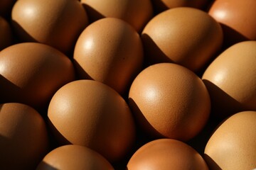 Many raw chicken eggs as background, closeup