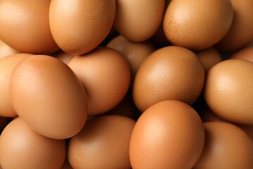 Many raw chicken eggs as background, closeup