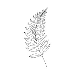 Obraz premium Elegant fern leaf in continuous line art