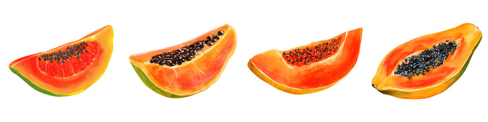 Watercolor papaya slice, illustration set isolated on transparent background