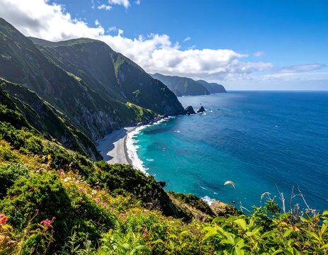 Coastal landscape features ocean, cliffs, beach, vegetation, and a blue sky