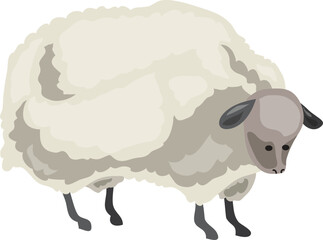 sheep, lamb, farm animal drawing