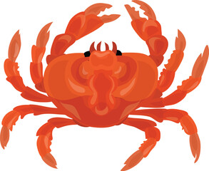 crab, crustacean, ocean animal illustration