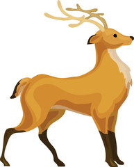 Deer, Forest animal colorful wild animals