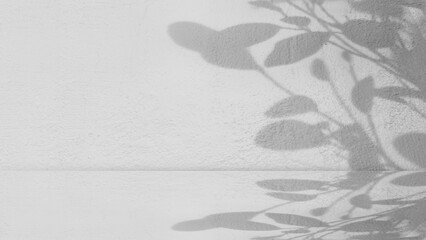 High-key black and white Shadow leafy plant cast across  textured white cement wall and floor. Clean minimalist aesthetic with wall forming backdrop
