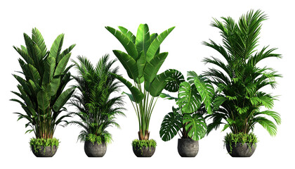 Five lush, leafy plants in textured stone pots