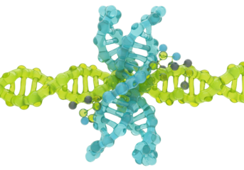 Isolated DNA structure abstract, 3D helix molecule model, science design, genome biology