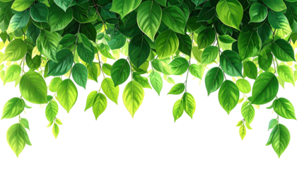 Green leaves hanging, stylized, digitally painted on black