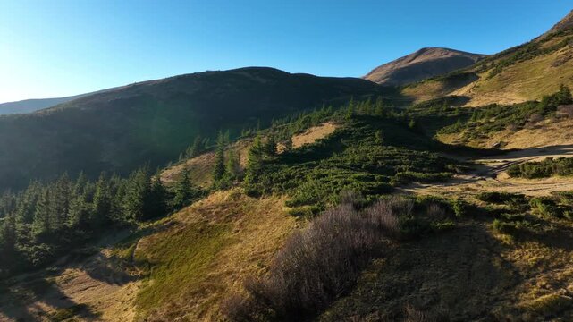 Panoramic panning to the left in Ukrainian Carpathians in Svydovets mountain range near Dragobrat Ski Resort under clear blue sky in November.