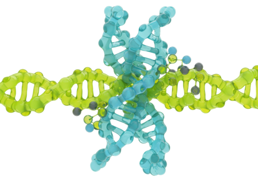 Isolated DNA structure abstract, 3D helix molecule model, science design, genome biology