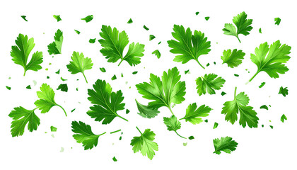 Scattered green parsley leaves floating on a stark black background