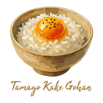 tamago kake gohan in watercolor illustration style, isolated vector on transparent background