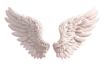 Obraz premium Elegant pair of feathery, spread, white angel wings