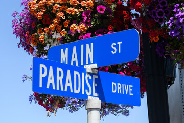 Fototapeta premium Street signs on a metal pole marking the intersection of Paradise and Main streets.
