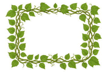 Fototapeta premium Green leaves vine frame creating natural rectangular border on transparent background for design elements