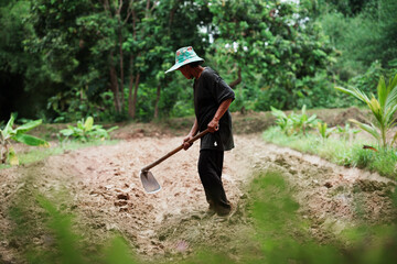 Farming activity by a laborer tropical field outdoor scene lush environment close-up view hard work...