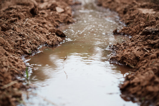 Rainwater accumulating in soil trenches agricultural field nature scene earthy environment close-up view water conservation concept