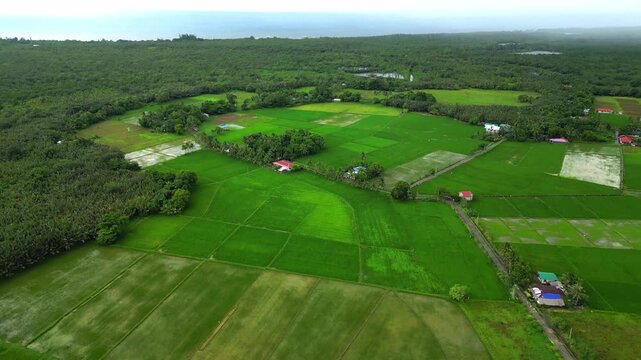 Drone shot captures green farmland divided into plots, with scattered buildings and forested edges in a tropical Philippine setting