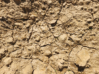 Soil sampling used for planting.