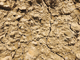 Soil sampling used for planting.