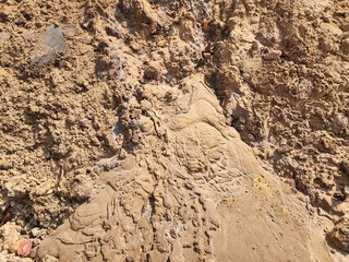 Soil sampling used for planting.