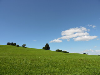 Wiese und Himmel