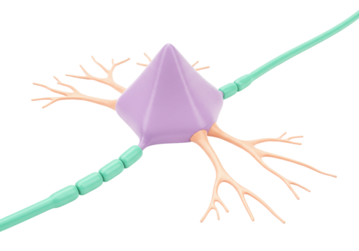 Isolated Neuron cell model featuring axon and dendrites for neuroscience and biology study