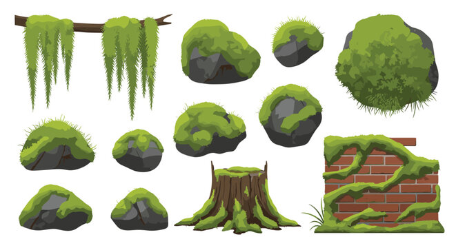Diverse collection of natural and architectural elements covered in vibrant green moss, including rocks, a tree stump, and hanging tendrils.