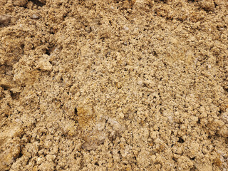 Soil sampling used for planting.