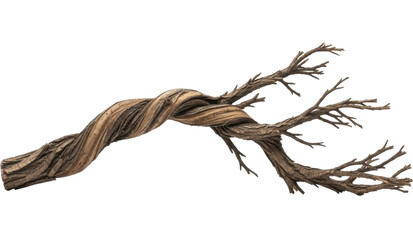 Gnarled dry twisted tree branch wood on a transparent background, PNG image, PNG file