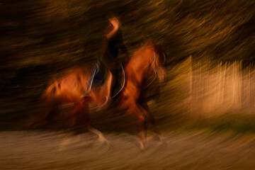 Reiterin auf Pferd fuchs bewegung