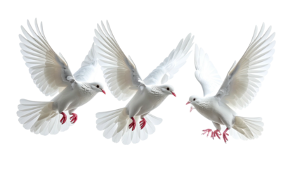 Three white doves fly against a black backdrop, wings spread