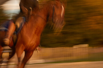 Reiterin auf Pferd fuchs bewegung
