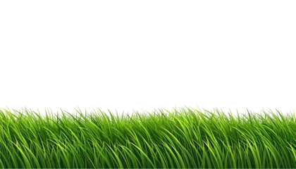 Vivid green grass clump, blades against a black background