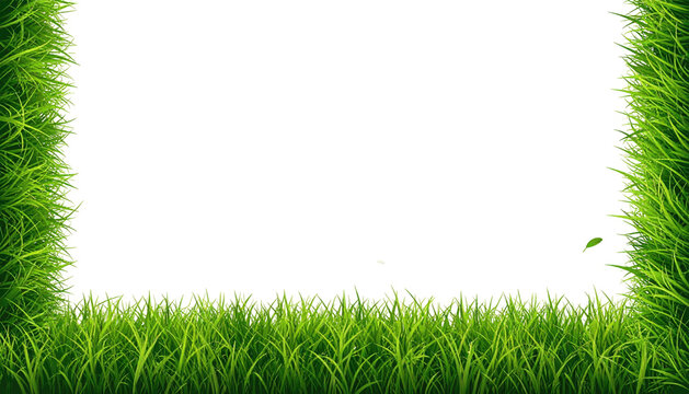 Lush grass border frames a dark, rectangular space