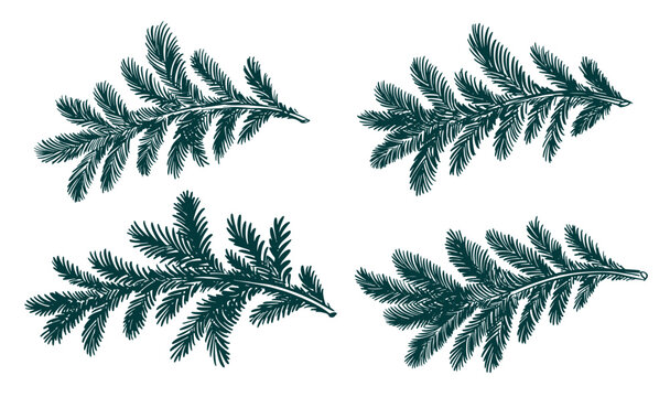 Christmas green tree branch set, hand drawn	

