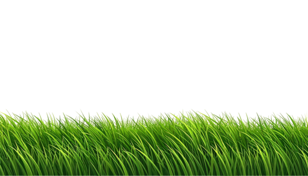 Vivid green grass clump, blades against a black background