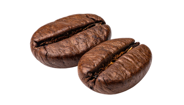 Two roasted coffee beans, brown & ribbed, isolated on black