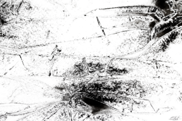 Abstract grunge black and white distressed texture torn transparent crumpled industrial overlay background