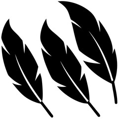 black and white feather